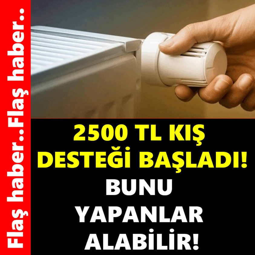 2500 TL KIŞ DESTEĞİ BAŞLADI! BUNU YAPANLAR ALABİLİR!