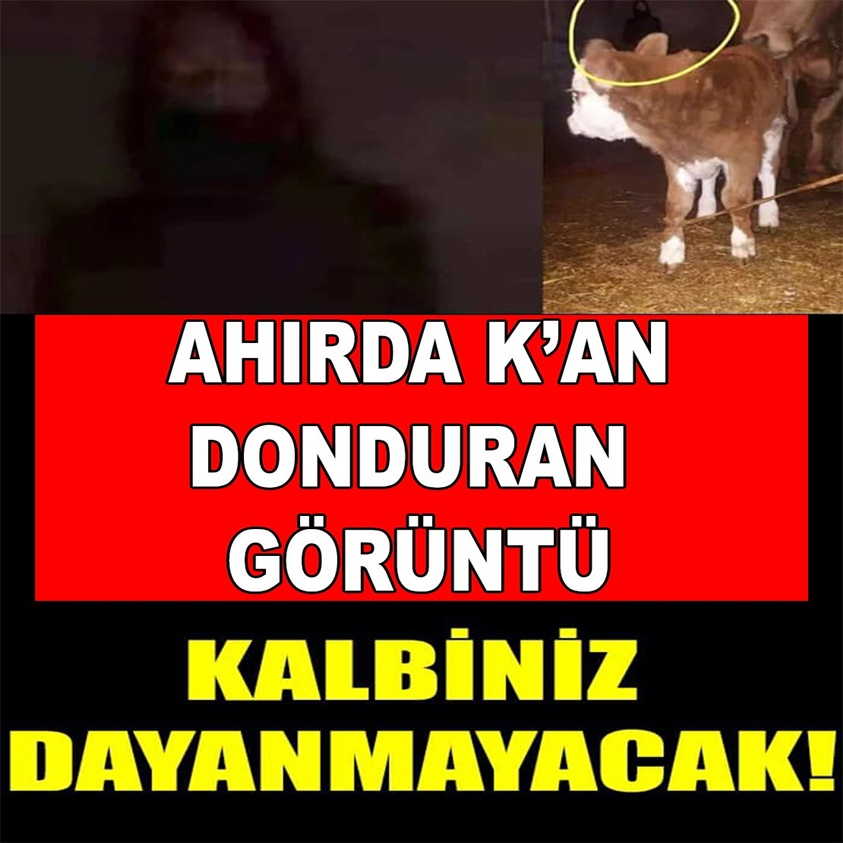 AHIRDA KAN DONDURAN GÖRÜNTÜ KALBİNİZ DAYANMAYACAK!