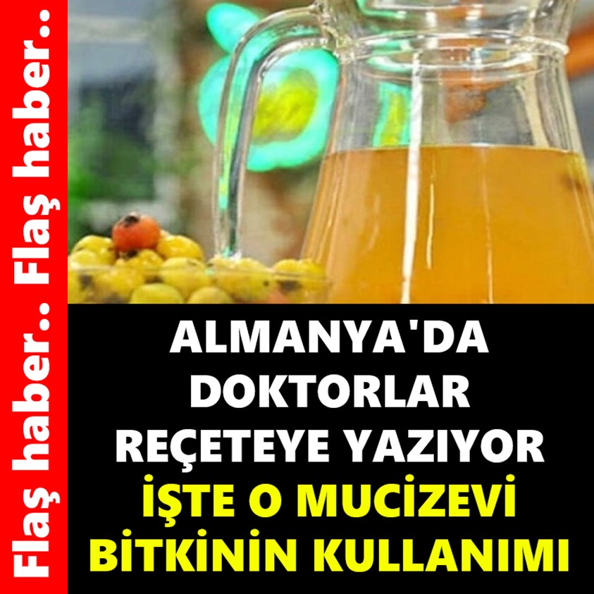 ALMANYA'DA DOKTORLAR REÇETEYE YAZIYOR İŞTE O MUCİZEVİ BİTKİNİN KULLANIMI