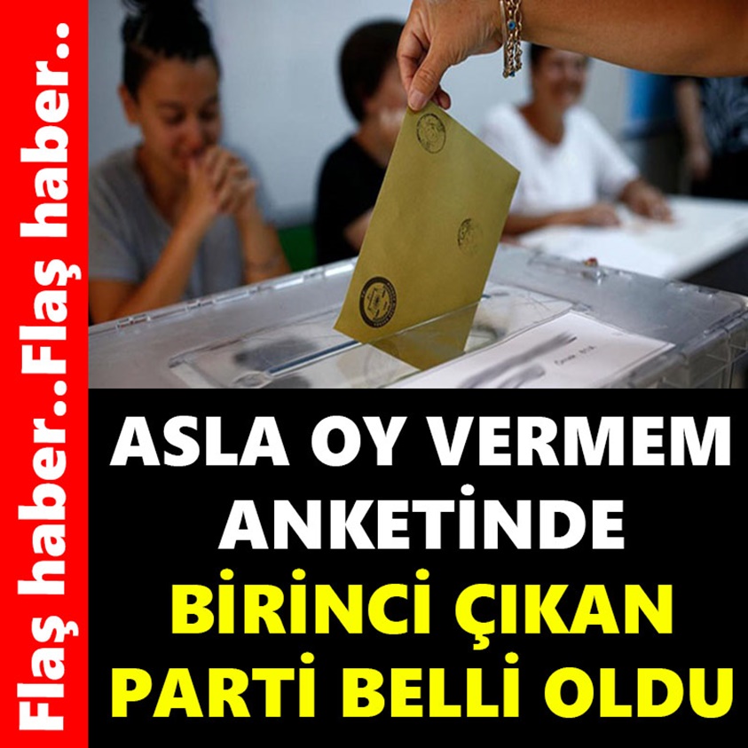 ASLA OY VERMEM ANKETİNDE BİRİNCİ ÇIKAN PARTİ BELLİ OLDU