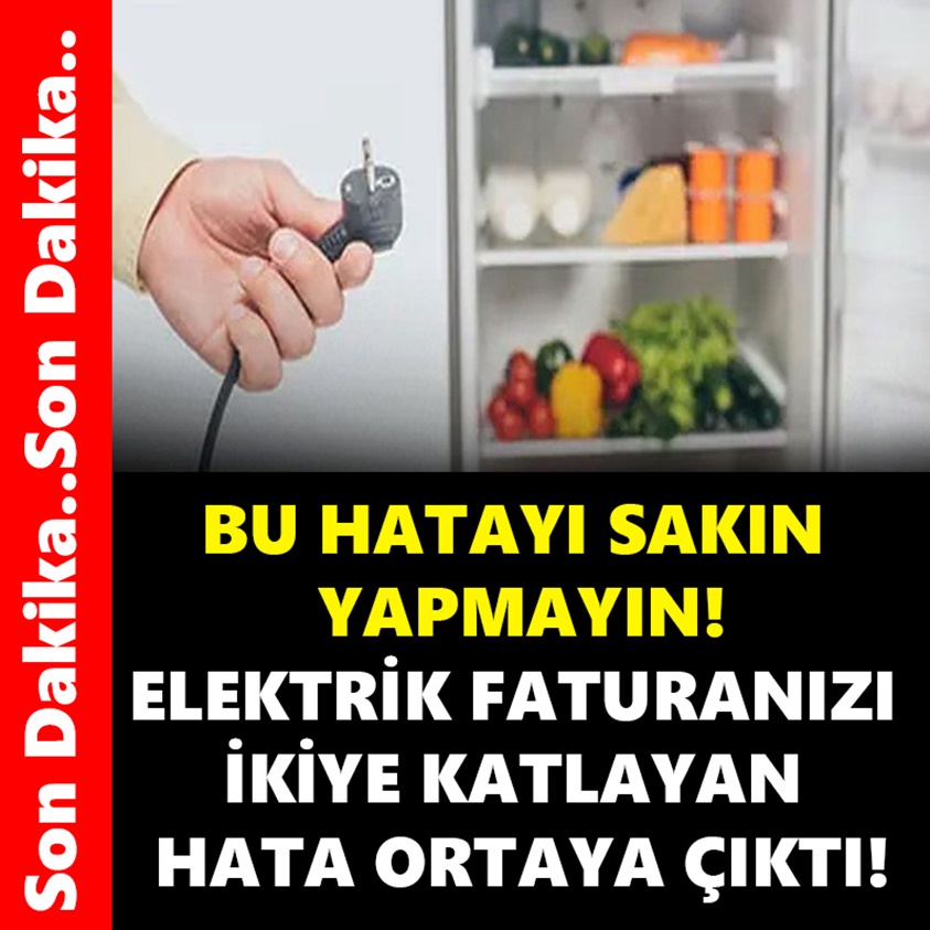 BU HATAYI SAKIN YAPMAYIN ELEKTİRİK FATURANIZI İKİYE KATLAYAN HATA ORTAYA ÇIKTI