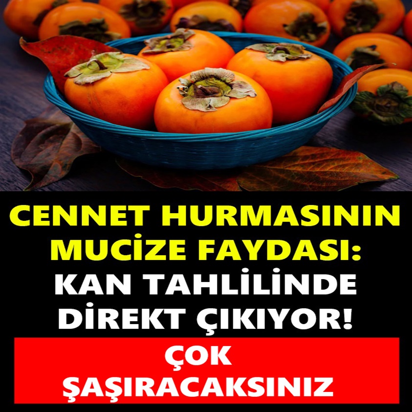 CENNET HURMASININ MUCİZE FAYDASI KAN TAHLİLİNDE DİREK ÇIKIYOR