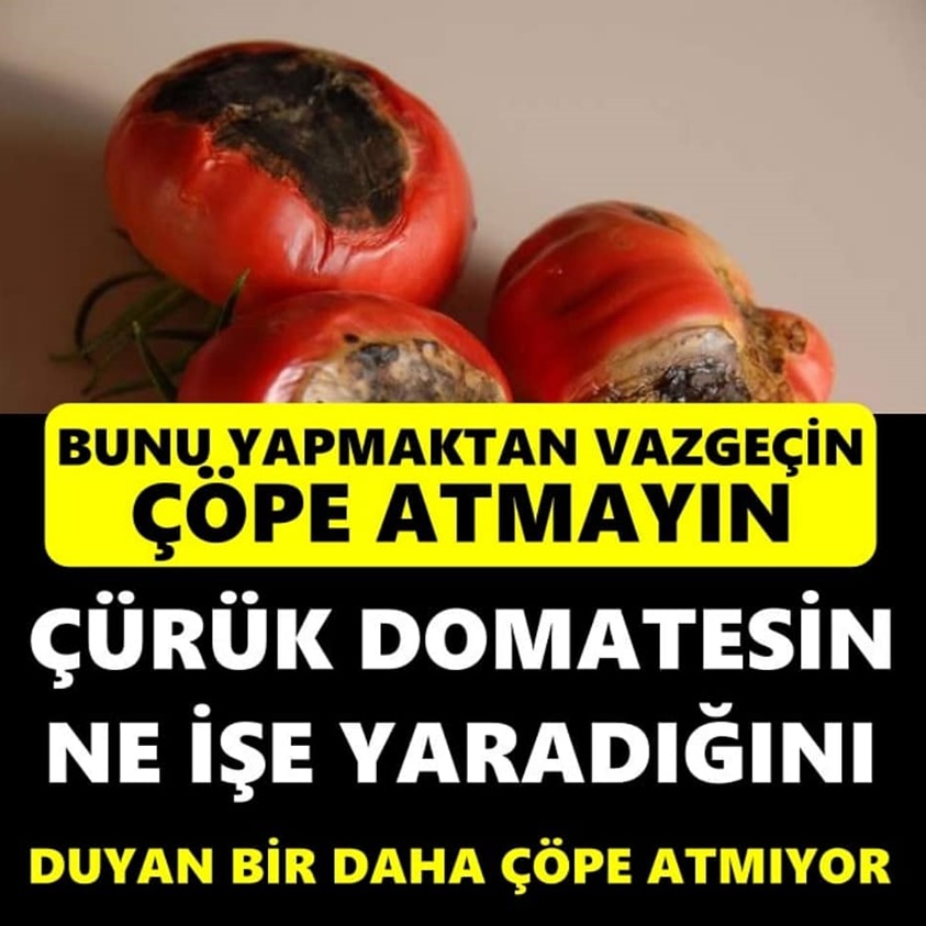 ÇÜRÜK DOMATESLERİN NE İŞE YARADIĞINI DUYAN BİR DAHA ÇÖPE ATMIYOR