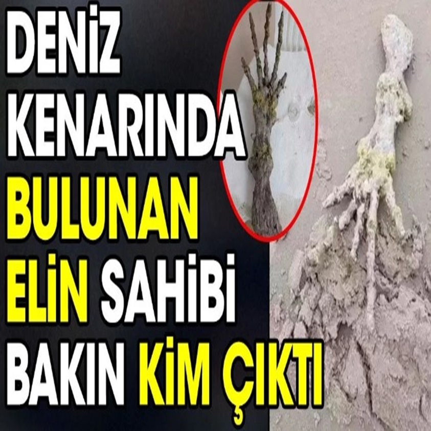 DENİZ KENARINDA BULUNAN ELİN SAHİBİ BAKIN KİM ÇIKTI