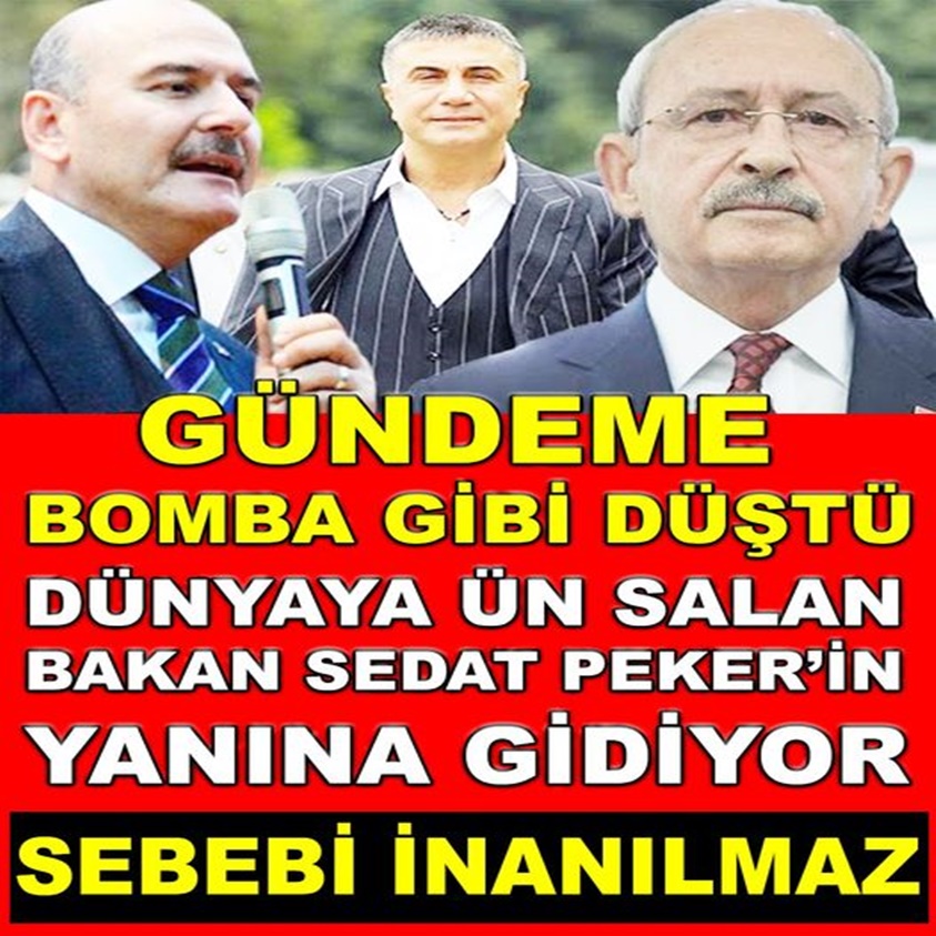 DÜNYAYA ÜN SALAN BAKAN SEDAT PEKER'İN YANINA GİDİYOR