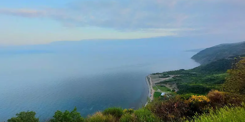 en büyük etkenlerden biri olan