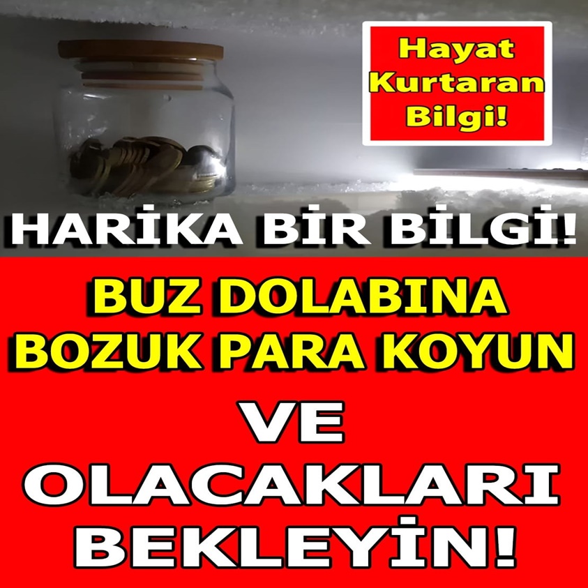 HARİKA BİR BİLGİ BUZDOLABINA BOZUK PARA KOYUN VE OLACAKLARI BEKLEYİN