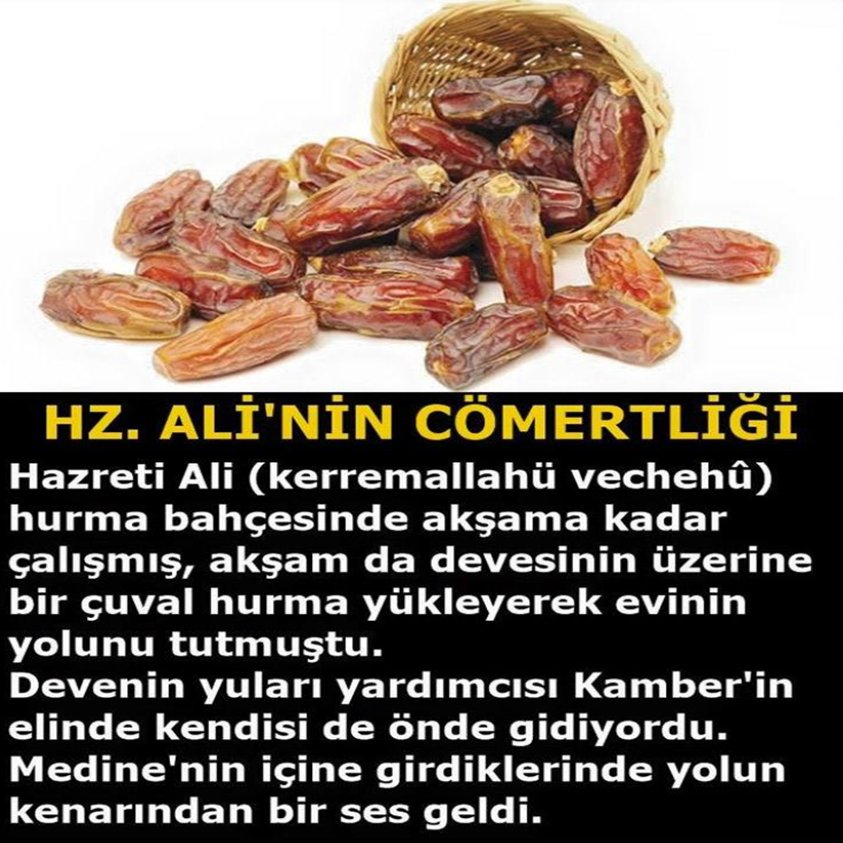 HAZRETİ ALİ HURMA BAHÇESİNDEN AKŞAMA KADAR ÇALIŞMIŞ