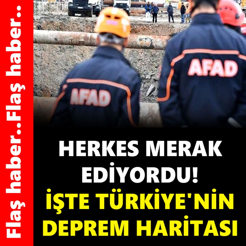 HERKES MERAK EDİYORDU İŞTE TÜRKİYE'NİN DEPREM HARİTASI