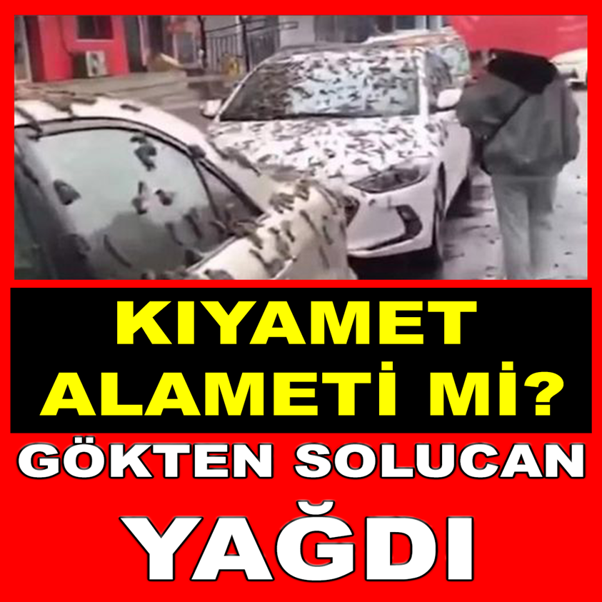 KIYAMET ALAMETİ Mİ? GÖKTEN SOLUCAN YAĞDI