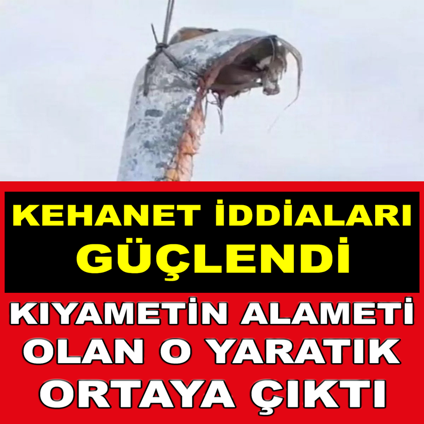 KIYAMETİN ALAMETİ OLAN O YARATIK ORTAYA ÇIKTI