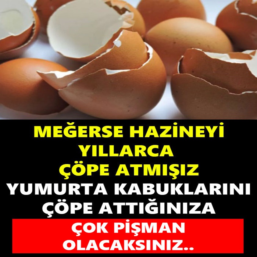 MEĞERSE HAZİNEYİ YILLARCA ÇÖPE ATMIŞIZ