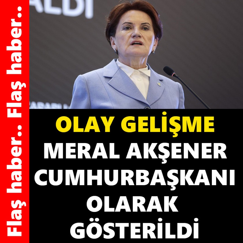 MERAL AKŞENER CUMHURBAŞKANI OLARAK GÖSTERİLDİ