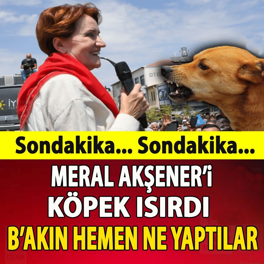 MERAL AKŞENER'İ KÖPEK ISIRDI BAKIN HEMEN NE YAPTILAR