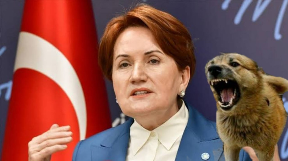 MERAL AKŞENER'İ KÖPEK ISIRDI BAKIN HEMEN NE YAPTILAR