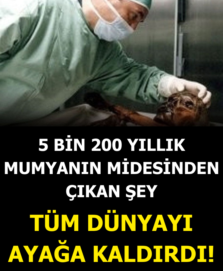 Mumyadan çıkanlar