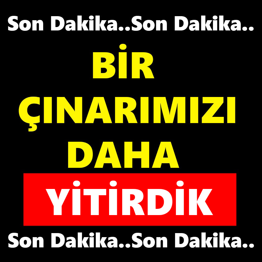 SON DAKİKA..BİR ÇINARIMIZI DAHA YİTİRDİK