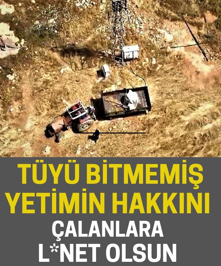 TÜYÜ BİTMEMİŞ YETİMİN HAKKINI ÇALANLARA L*NET OLSUN