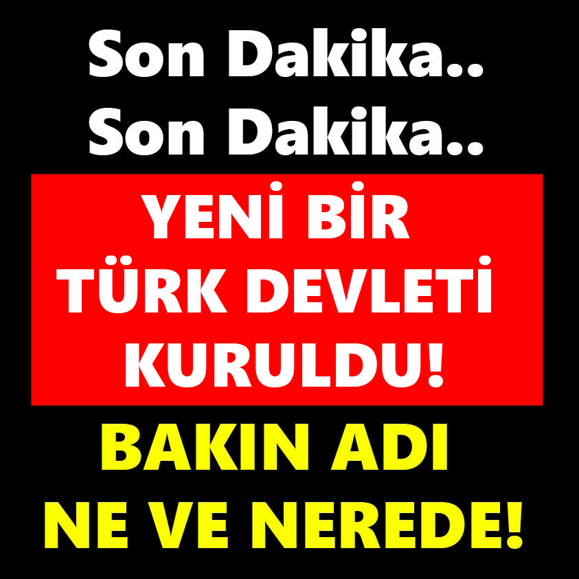 YENİ BİR TÜRK DEVLETİ KURULDU!