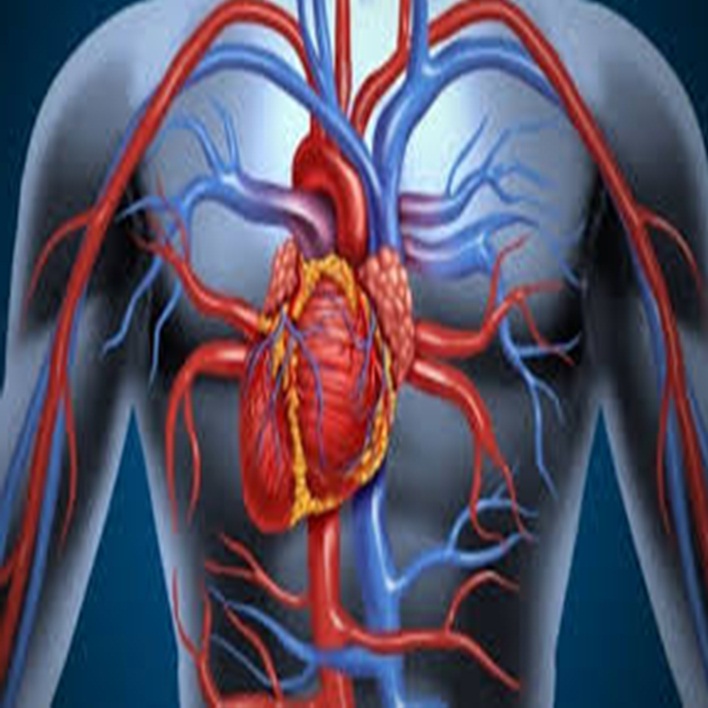 aort-anevrizmasi-nasil-teshis-edilir