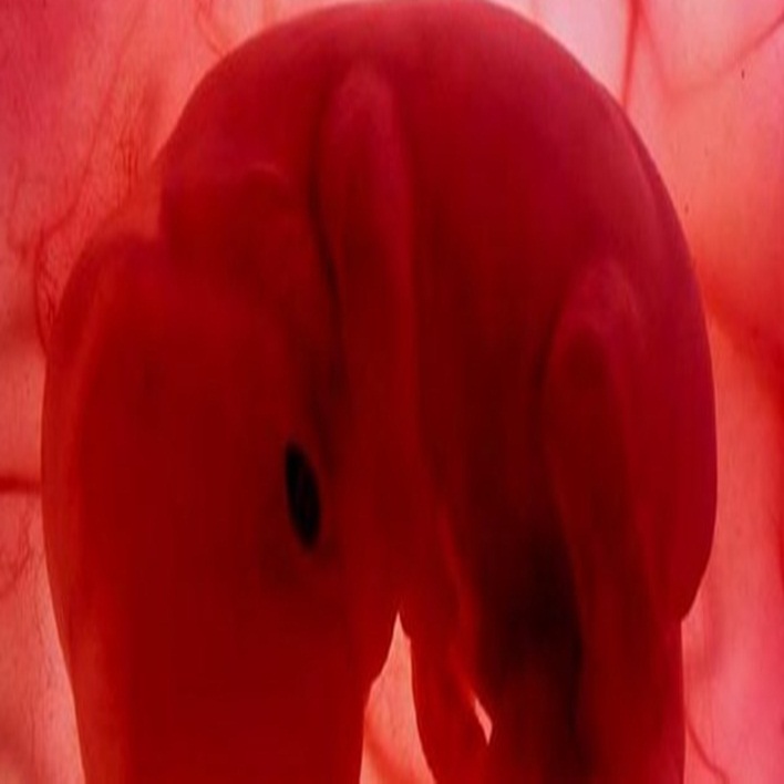 embriyo-olusmama-nedenleri