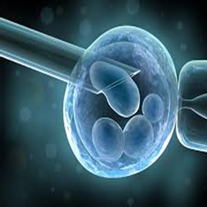 embriyo-transferi-nereye-yapilir