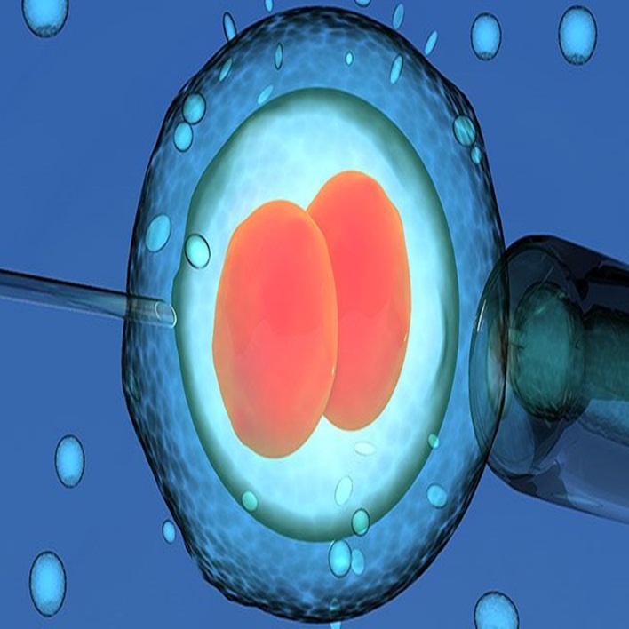 embriyo-transferi-oncesi-cinsel-iliski