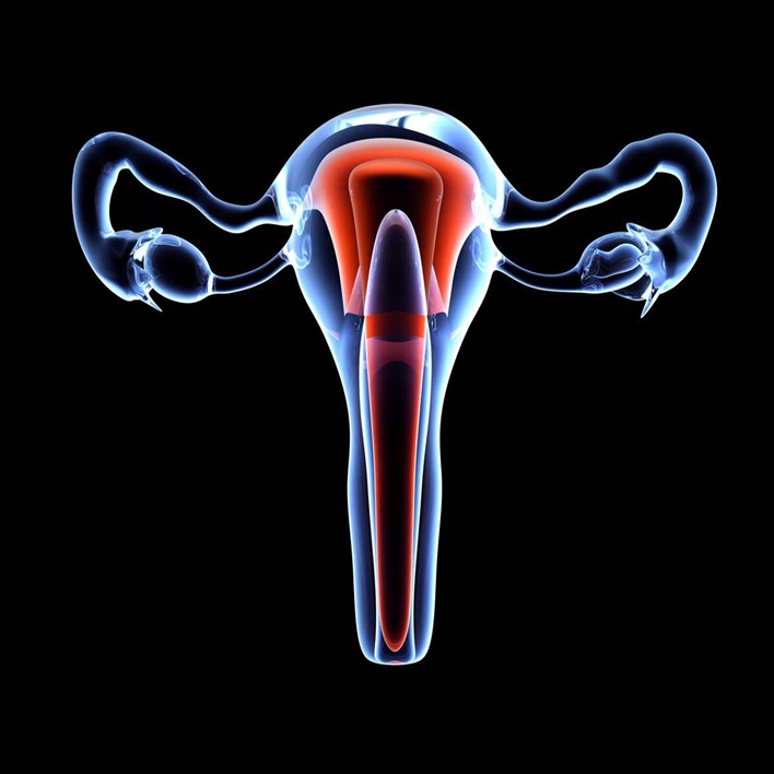 endometrial-polip-ameliyati-kac-saat-surer