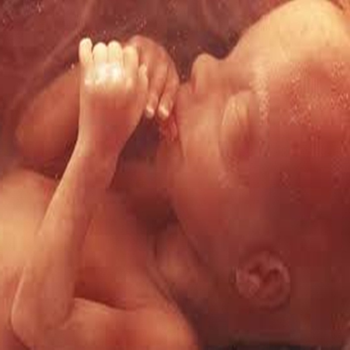 fetus-canli-midir