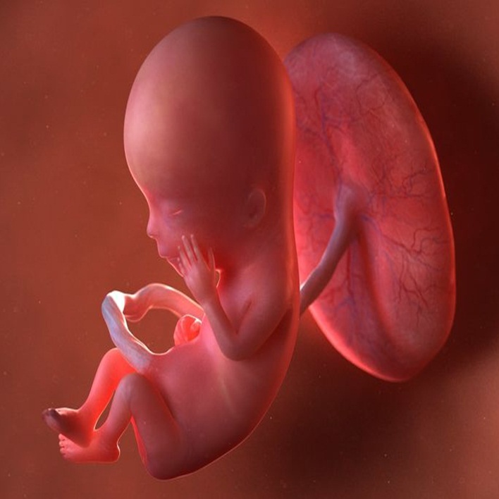 fetus-olumu-nedenleri-nelerdir