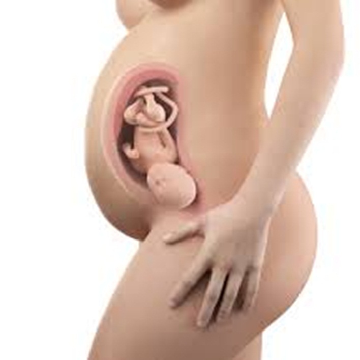 hamilelikte-mide-yanmasi-cinsiyet-belirler-mi
