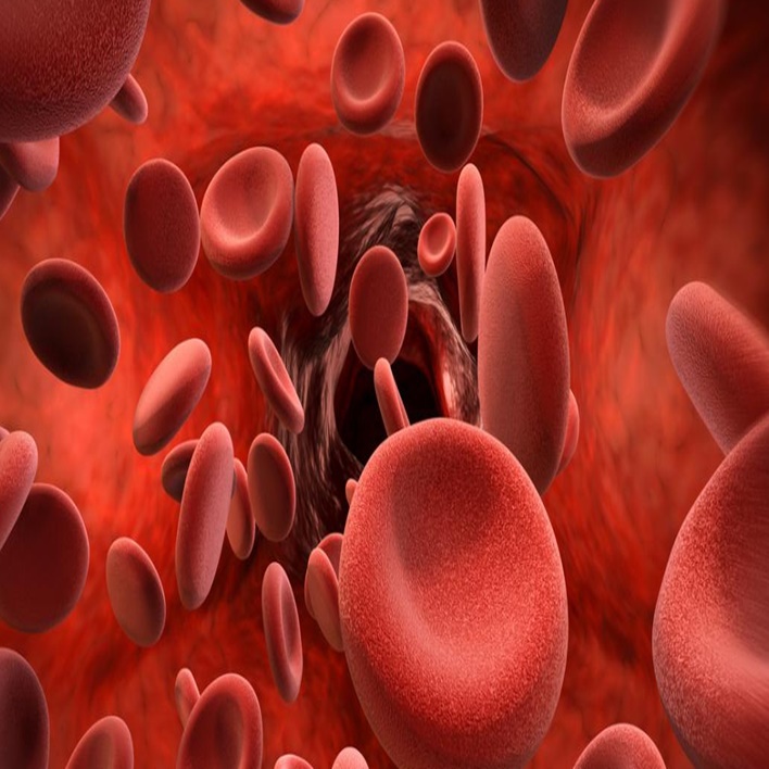 hemofili-mutasyon-mudur