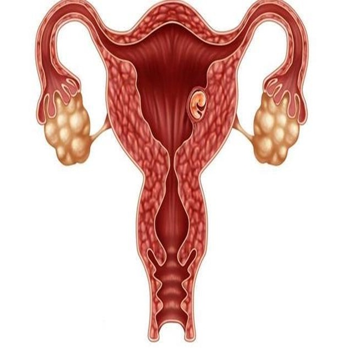 ilk-uterus-nakli-ne-zaman-yapildi