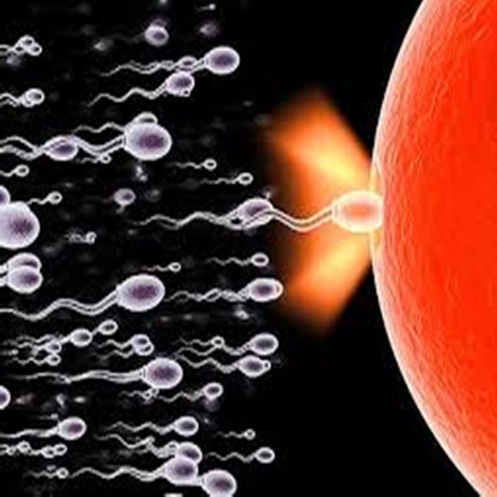 sperm-enfeksiyonu-belirtileri