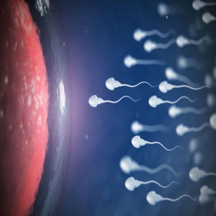 sperm-testi-nedir