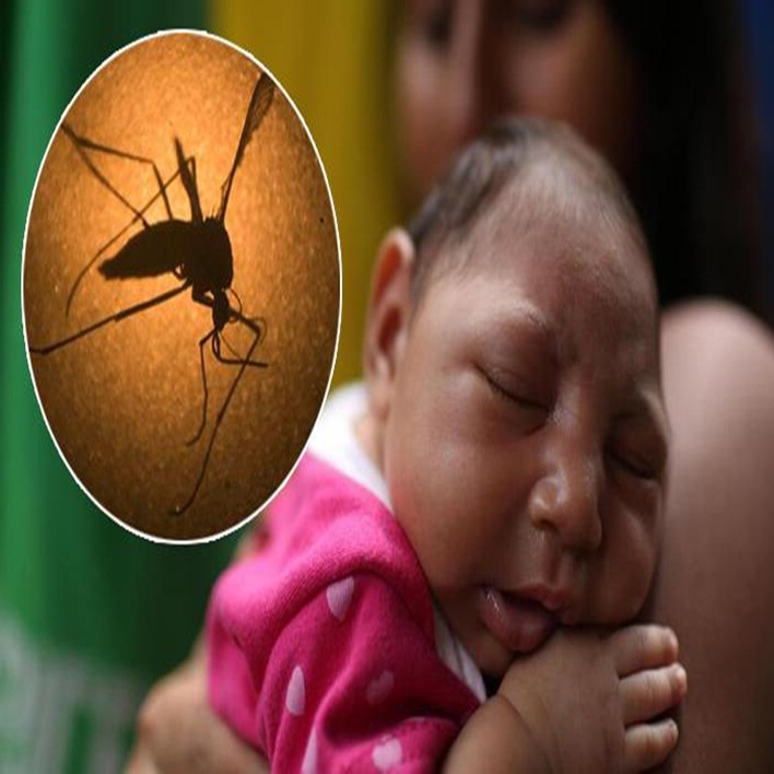 zika-virusu-belirtileri-nelerdir